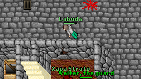 Labuda on screen