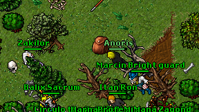 Anoris on screen