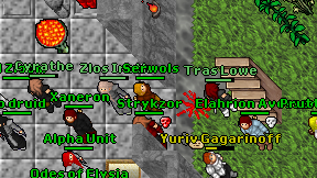 Wawid Zioom on screen