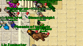 Binusia knight on screen