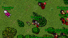 Krossu on screen