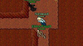 Neimad on screen