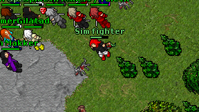 Sim fighter on screen