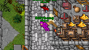 Billybong on screen