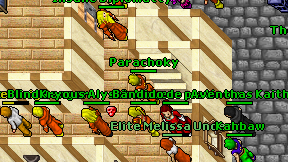 Parachoky on screen