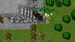 Kredo Master on screen