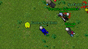 Goles Selthin on screen