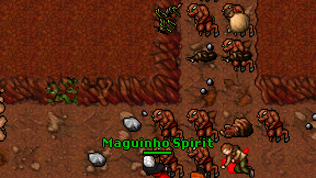 Maguinho Spirit on screen