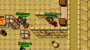 Holitara on screen