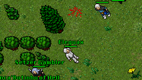 Eleguax on screen