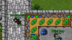 Drako'nis on screen