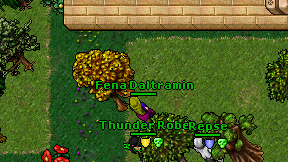 Fena Daltramin on screen