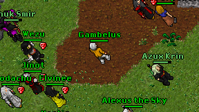 Gambelus on screen