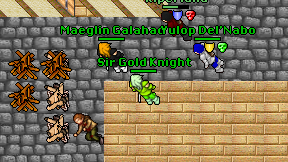 Sir Gold Knight on screen