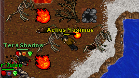 Aelius Maximus on screen