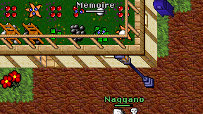 Memoire on screen