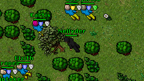 Nellyder on screen