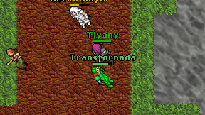 Transtornada on screen