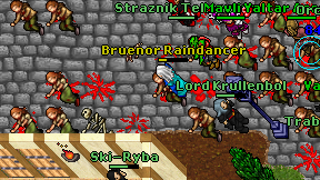 Bruenor Raindancer on screen
