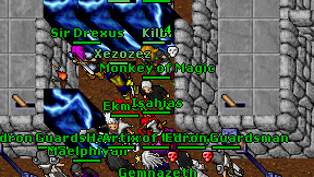 Monkey of Magic on screen