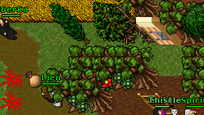 Caliberka on screen