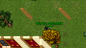 Mistic Mundek on screen