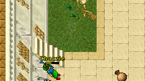 Wizard of zaramoth on screen