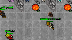 Guidee Druid on screen