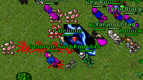 Palelinho on screen