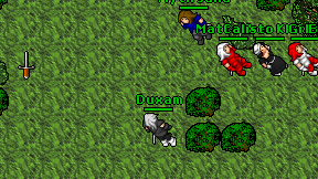 Duxam on screen