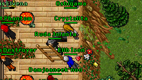 Crystalita on screen
