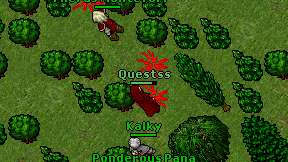 Questss on screen