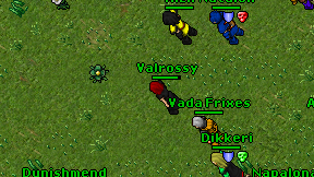 Valrossy on screen