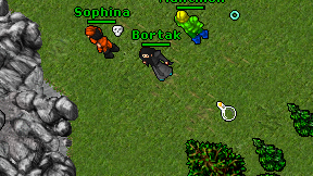 Bortak on screen