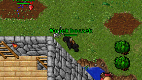 Wujek boczek on screen
