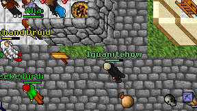 Iguanitchow on screen
