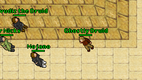 Ghostly Druid on screen