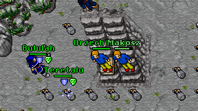 Orzech Magic on screen