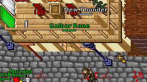 Mew Thunder on screen