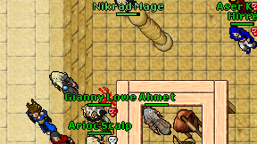 Nikrad Mage on screen