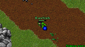 Rastish on screen
