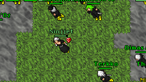 Ninjjet on screen