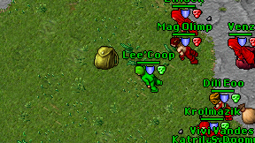 Lee'Coop on screen