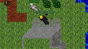 Mowenage on screen