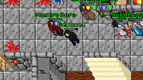 Gekoxet on screen