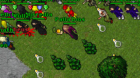 Palla Dios on screen