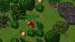 Hammistain on screen