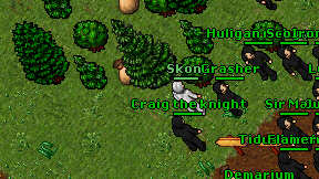 Skony on screen