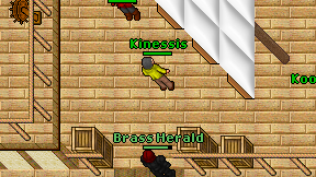 Kinessis on screen