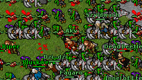 Akv on screen